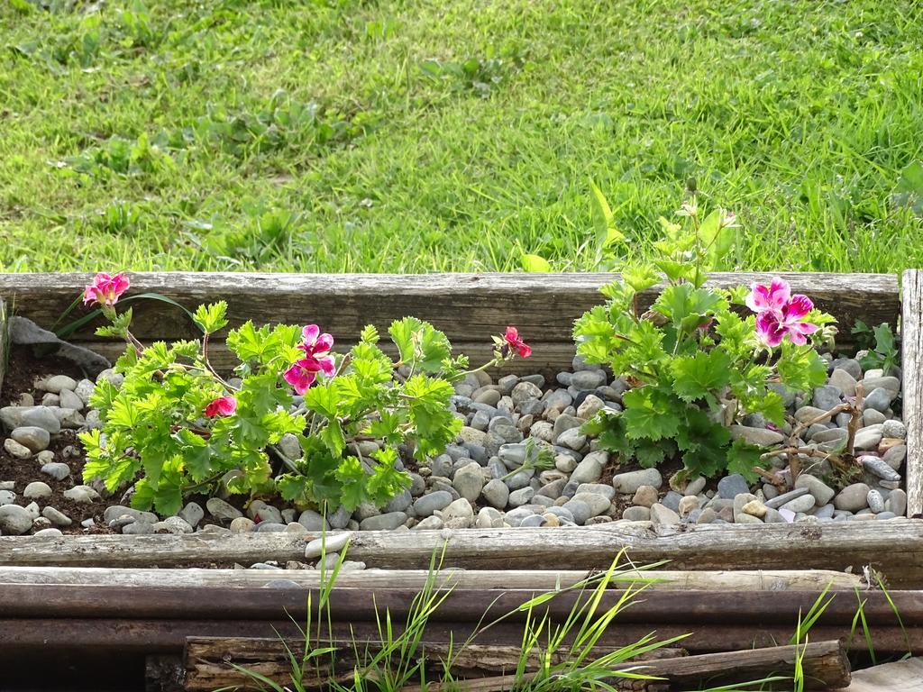 Les Chalets D'Hotes Esprit Nature Tudelle Kültér fotó